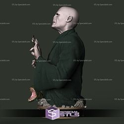 Voldemort Bust 3D Printing Model Harry Potter STL Files