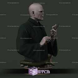 Voldemort Bust 3D Printing Model Harry Potter STL Files