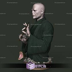 Voldemort Bust 3D Printing Model Harry Potter STL Files