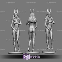 Alice in Wonderland NSFW Rabbit Outfit STL Files 3D Print