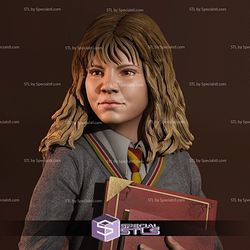 Hermione 2 Outfit 3D Printing Model Harry Potter STL Files