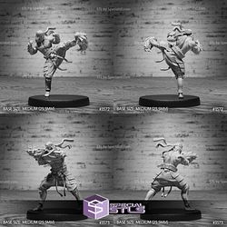 September 2023 Set 84 - Iron Fist Tournament Epic Miniatures