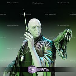 Voldemort Bust V2 STL Files 3D Printing Figurine