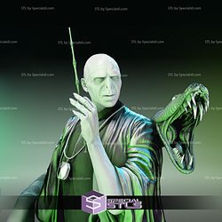 Voldemort Bust V2 STL Files 3D Printing Figurine