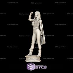 Phantom Lady DC Hero 3D Print STL