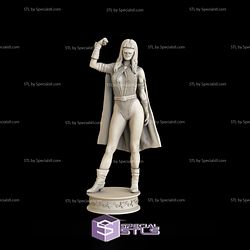 Phantom Lady DC Hero 3D Print STL