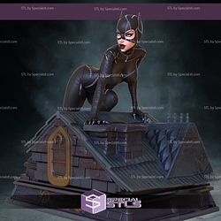 Catwoman and Batman NSFW 3D Model STL Files