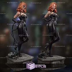 Catwoman Anna Taylor 3D Model STL Files