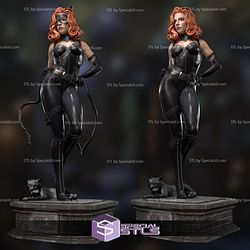 Catwoman Anna Taylor 3D Model STL Files