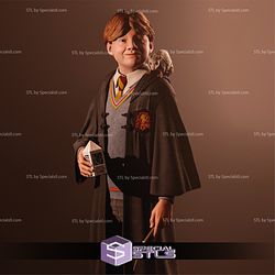 Ron Weasley 3D Printing Model Harry Potter 3D Model