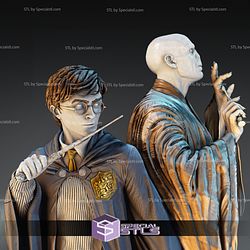 Lord Voldemort and Harry Potter Diorama STL Files 3D Printing Figurine