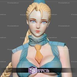 Cammy Sexy Outift 3D Model Street Fighter