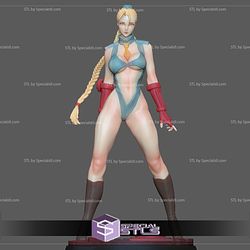 Cammy Sexy Outift 3D Model Street Fighter