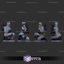 Catwoman and Cat STL Files