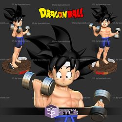 Kid Goku with Gym Dragonball STL Files