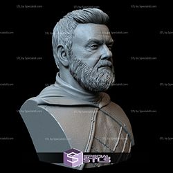 Bust Portrait STL Collection - Ray Stevenson as Baylan Skoll Starwars 3D Print