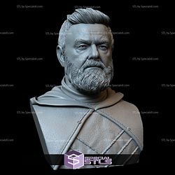 Bust Portrait STL Collection - Ray Stevenson as Baylan Skoll Starwars 3D Print