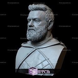 Bust Portrait STL Collection - Ray Stevenson as Baylan Skoll Starwars 3D Print