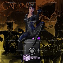 Catwoman Safety Box STL Files 3D Model
