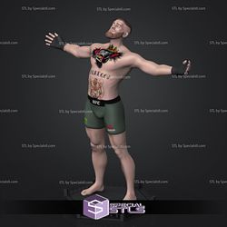 Conor McGregor Winning Ready to 3D Print 3D Model