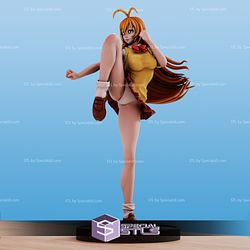 Hakufu Sonsaku Pantsu Ikki Tousen Ready to 3D Print