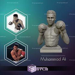 Muhammad Ali Bust Ready to 3D Print 3D Model