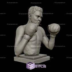 Muhammad Ali Bust Ready to 3D Print 3D Model