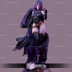 Raven and Cloak STL Files DC 3D Model