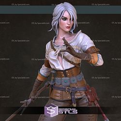 Ciri Witcher The Video Game Diorama Ready to 3D Print