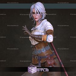 Ciri Witcher The Video Game Diorama Ready to 3D Print