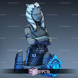 Ahsoka Tano Basic Bust Ready to Print