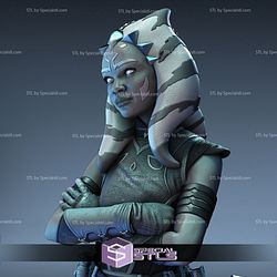 Ahsoka Tano Basic Bust Ready to Print