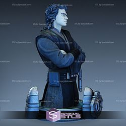 Anakin Skywalker Basic Bust Ready to Print