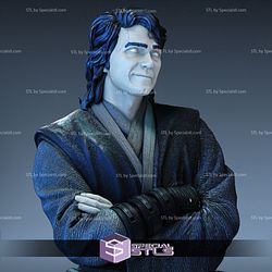 Anakin Skywalker Basic Bust Ready to Print