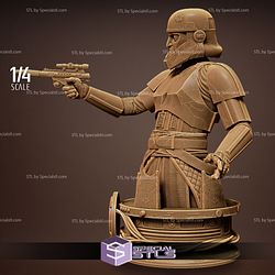 Captain Enoch Bust Ready to Print Starwars