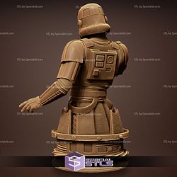 Captain Enoch Bust Ready to Print Starwars