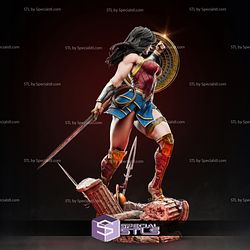Wonder Woman Warrior in Battle Ready to 3D Print