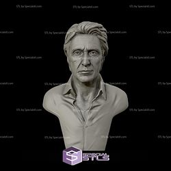 Al Pacino Bust 3D Model