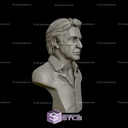 Al Pacino Bust 3D Model