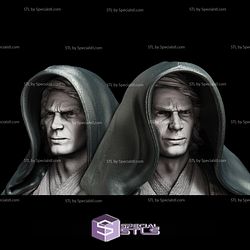 Anakin Skywalker Bust Star Wars 3D Models