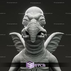 Andy Socombe Watto Star Wars Bust 3D Model