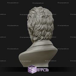 Bob Dylan Bust Ready to 3D Print