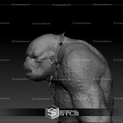 Cave Troll The Lord of the Rings Bust 3D Model
