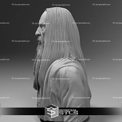 Christopher Lee Saruman Lord of the Rings Bust Ready to 3D Print