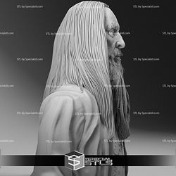 Christopher Lee Saruman Lord of the Rings Bust Ready to 3D Print