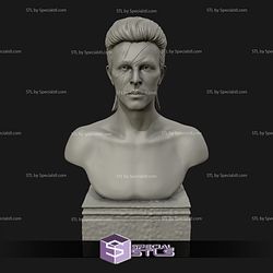 David Bowie Bust Ready to 3D Print