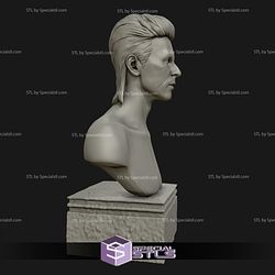 David Bowie Bust Ready to 3D Print