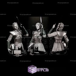 Fennec Shand Bust Star Wars 3D Models
