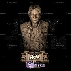 Han Solo Bust 3D Printing Figurine