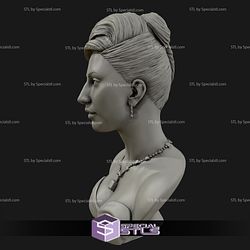 Lady Gaga Bust 3D Model